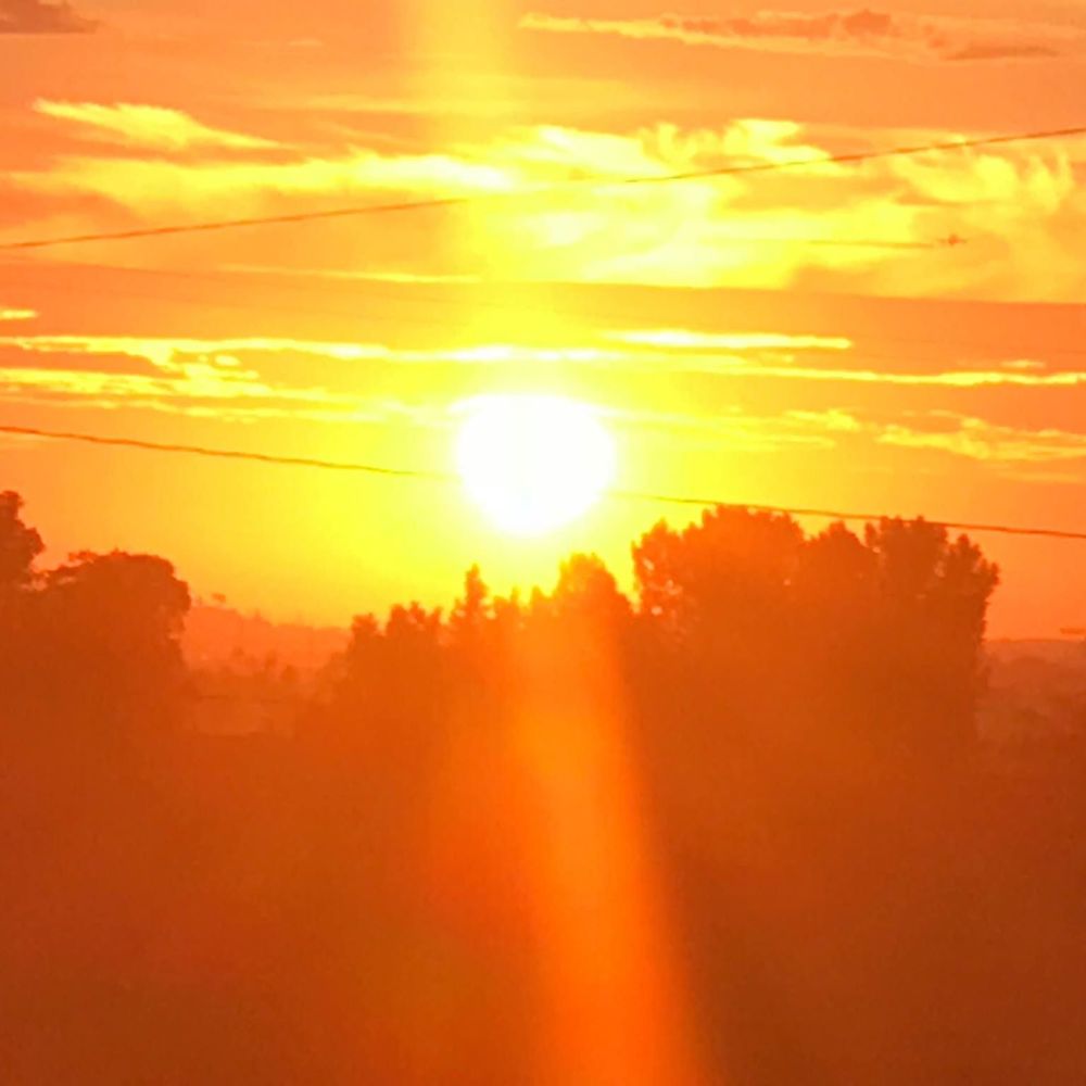 Meet your Posher, Smooches